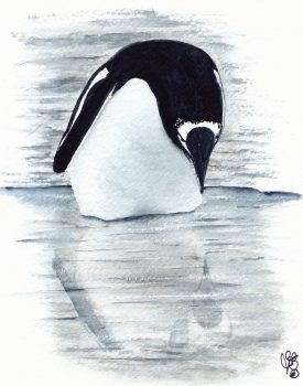 Card by Fiona Barcenas  - Chinstrap Reflection
