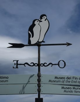 Handmade Card - Penguin Sign