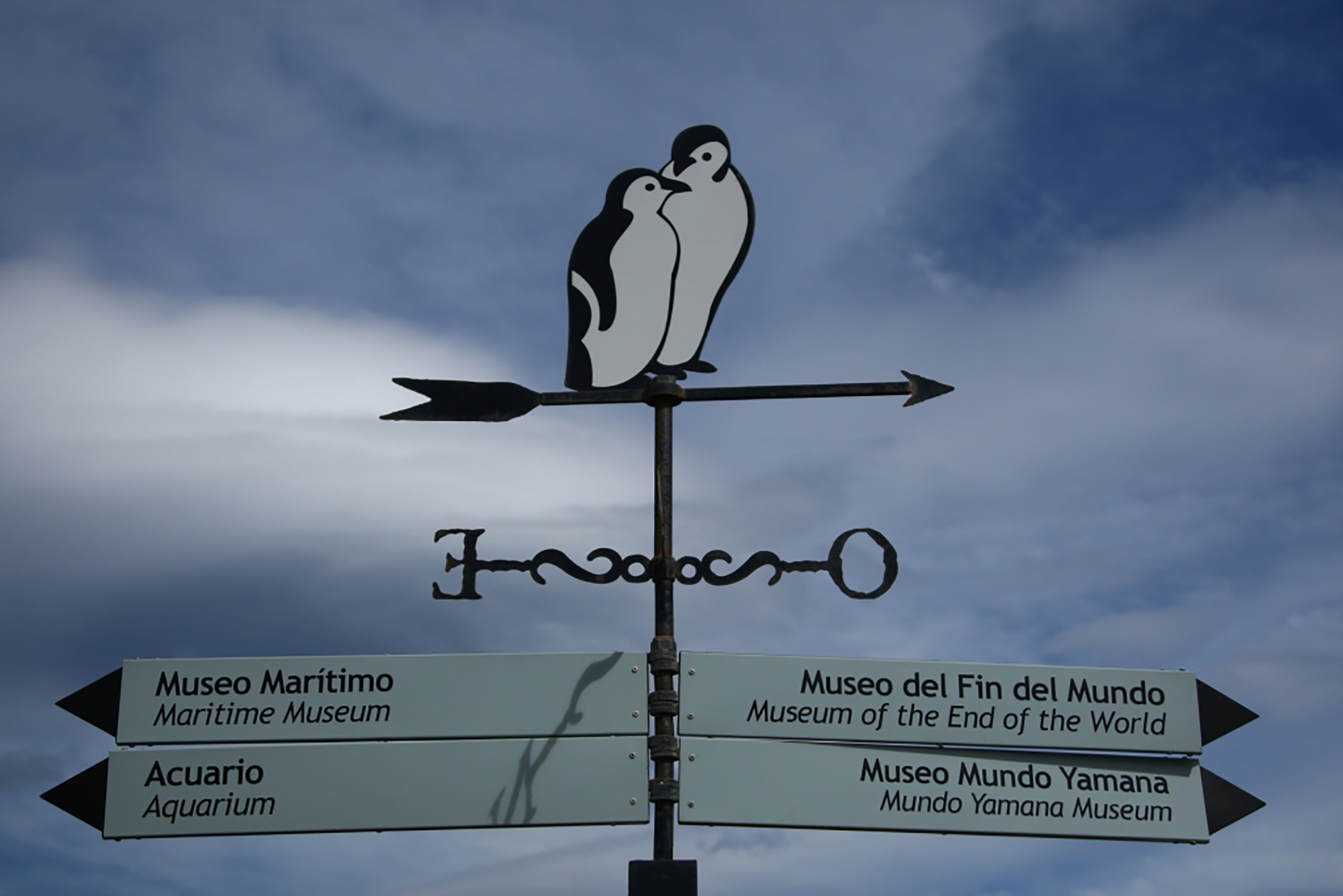 Handmade Card - Penguin Sign
