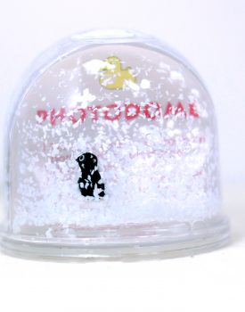 Penguin Photo Globe