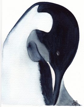 Card by Fiona Barcenas  - Preening