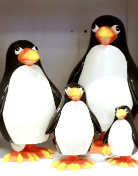 Wobbly Penguin