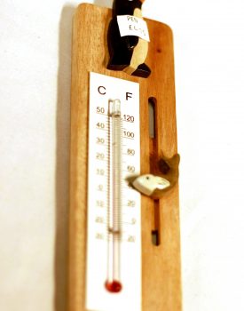 Wooden Penguin Thermometer
