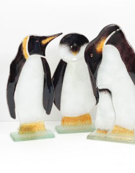 Glass Penguin