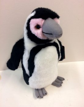 26cm Humboldt Penguin