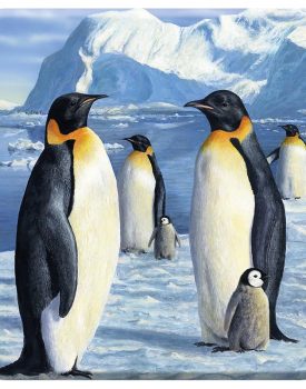 3D Antarctic Majesty Coaster
