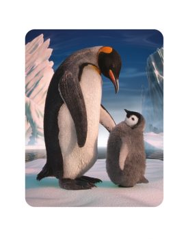 Penguin Son Magnet