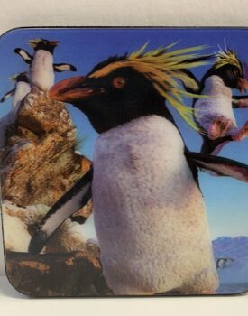 3D Rockhopper Penguins Coaster