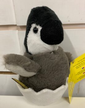Penguin Chick in egg