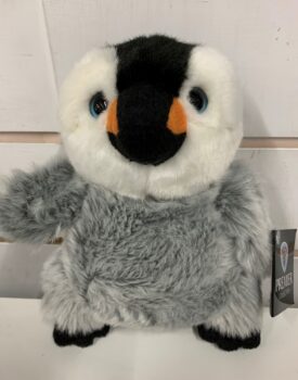 Small Grey Penguin Chick