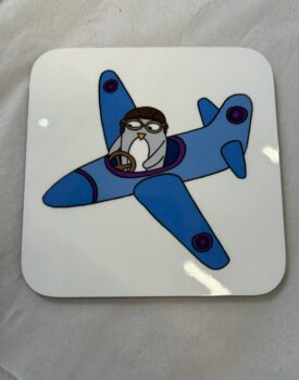 Penguin in a Plane Coaster